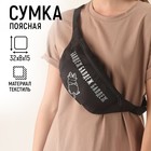 Сумка на пояс «Балдеж», 32х8х15 см, отд на молнии, цвет чёрный - фото 108453071