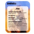 Фигурка «Лев», с обучающей карточкой - Фото 3