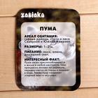 Фигурка «Пума», с обучающей карточкой - Фото 2