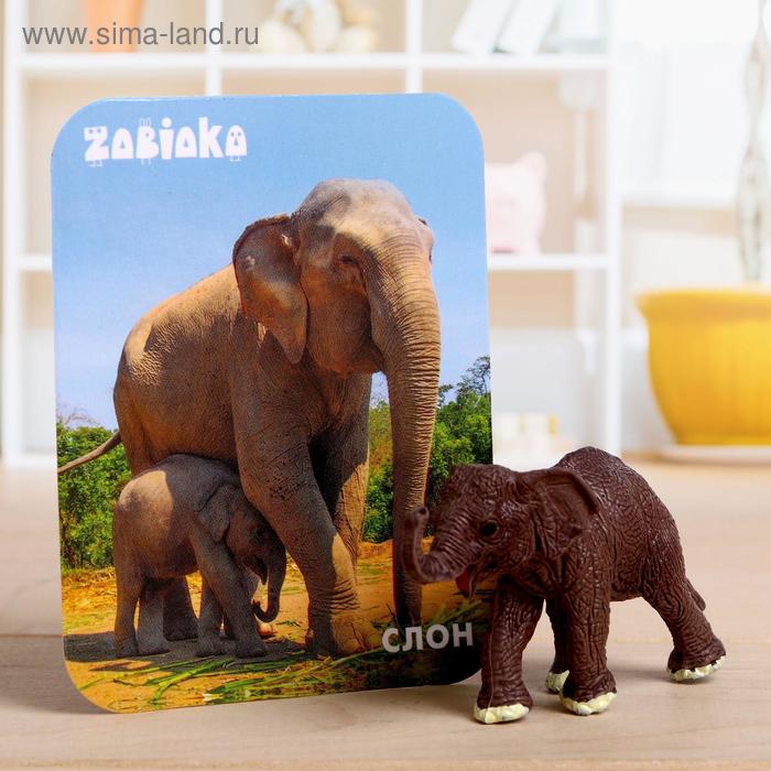 Фигурка «Слон», с обучающей карточкой - Фото 1