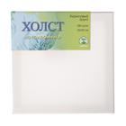 Холст на подрамнике, хлопок 100%, 20×20 см, 280 г/м², акриловый грунт, мелкозернистый, ЗХК, E5309-P-20×20 - Фото 1