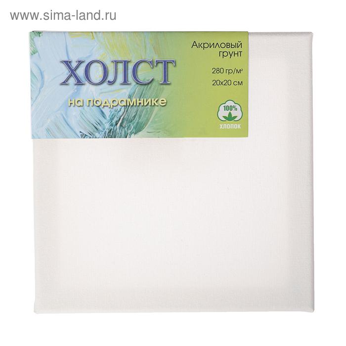 Холст на подрамнике, хлопок 100%, 20×20 см, 280 г/м², акриловый грунт, мелкозернистый, ЗХК, E5309-P-20×20 - Фото 1