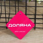 Корзина для мелочей Доляна, 29×12×12 см, чёрная - Фото 10