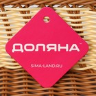 Корзинка для фруктов и хлеба Доляна «Молочный шоколад», 27×19 см, пластик, плетёная, молочная - Фото 7