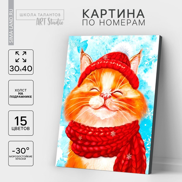 Картина по номерам на холсте с подрамником «Довольный кот», 30 х 40 см - Фото 1