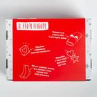 Набор подарочный «Новый год: Purrfect» плед, носки, 2 игрушки, открытка  (артикул 5306404)  большой выбор товаров оптом и в розницу по низким ценам с доставкой