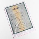 Папка для свидетельства о рождении, А5 «Цветы» - Фото 3