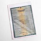 Папка для свидетельства о рождении, А5 «Цветы» - Фото 5