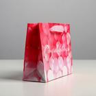 Пакет подарочный ламинированный, упаковка, «Congratulations!», S 15×12×5.5 см - фото 57939125