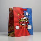 Пакет подарочный крафтовый вертикальный, упаковка, «Супер герой», ML 23 х 27 х 11.5 см - фото 318393813