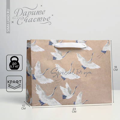 Пакет подарочный крафтовый, упаковка, «Special for you», MS 23×18×10 см
