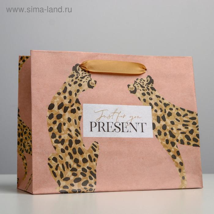 Пакет подарочный крафтовый горизонтальный, упаковка, «Леопард», MS 23 х 18 х 10 см - Фото 1