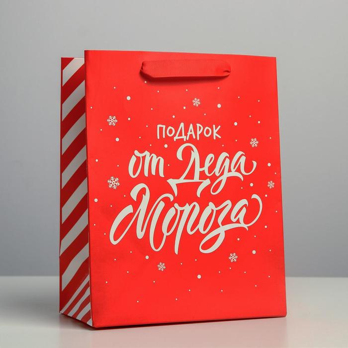 Пакет ламинированный вертикальный «Подарок от Деда Мороза», MS 18 × 23 × 10 см