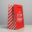 Пакет ламинированный вертикальный «Подарок от Деда Мороза», MS 18 × 23 × 10 см - Фото 2