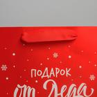 Пакет ламинированный вертикальный «Подарок от Деда Мороза», MS 18 × 23 × 10 см - Фото 3