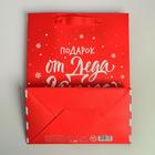 Пакет ламинированный вертикальный «Подарок от Деда Мороза», MS 18 × 23 × 10 см - Фото 4