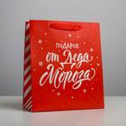 Пакет ламинированный вертикальный «Подарок от Деда Мороза», ML 23 × 27 × 11,5 см - фото 1588257