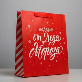 Пакет ламинированный вертикальный «Подарок от Деда Мороза», M 26 х 30 х 9 см, Новый год