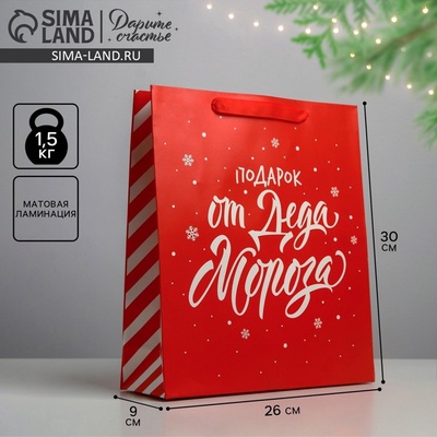 Пакет подарочный новогодний ламинированный «Подарок от Деда Мороза», M 26×30×9 см
