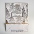 Пакет подарочный новогодний ламинированный «Чудесного праздника», L 31 х 40 х 11.5 см 4843288 - фото 16933072