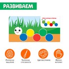 Обучающий набор «Выложи по образцу» - Фото 3