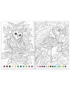 Раскраски по номерам «Для девочек», набор 4 шт., по 16 стр. - Фото 4