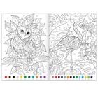 Раскраски по номерам «Для девочек», набор 4 шт., по 16 стр. - Фото 4