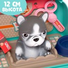 Игровой набор «Ветеринар» в рюкзаке, питомец МИКС - Фото 3