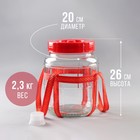 Банка стеклянная, с отверстием для гидрозатвора, 5 л, цвет красный - фото 24738703