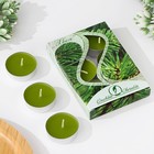 Набор чайных свечей ароматических "Хвоя", 3,8х1,6 см, 3,5 ч, 12 г, 6 штук - Фото 1