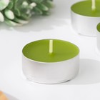 Набор чайных свечей ароматических "Хвоя", 3,8х1,6 см, 3,5 ч, 12 г, 6 штук - Фото 3