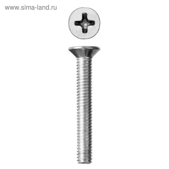 Винт ЗУБР МАСТЕР, оцинкованный, DIN 965, класс прочности 4.8, М6×65 мм, 5 кг - Фото 1