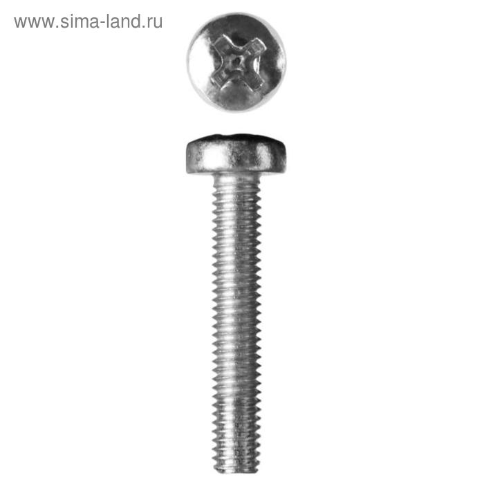 Винт ЗУБР МАСТЕР, оцинкованный, DIN 7985, класс прочности 4.8, М6×30 мм, 5 кг - Фото 1