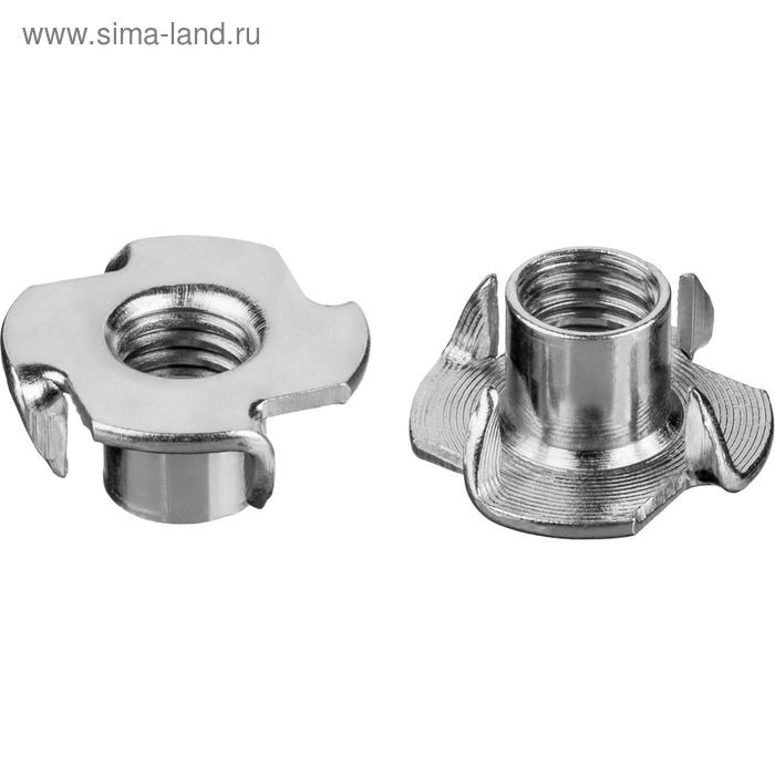 Гайка ЗУБР МАСТЕР, мебельная, забивная, DIN 1624, оцинкованная, М5, 5 кг - Фото 1