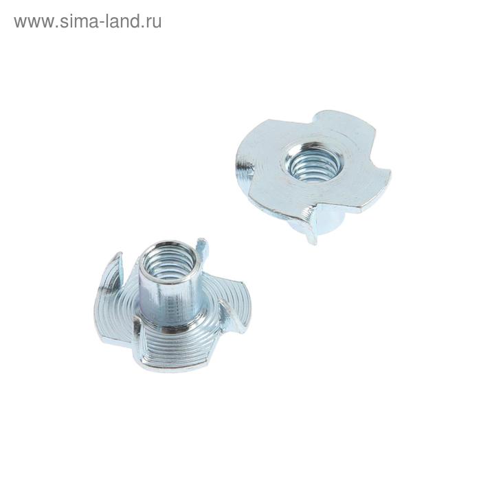 Гайка ЗУБР МАСТЕР, мебельная, забивная, DIN 1624, оцинкованная, М6, 5 кг - Фото 1