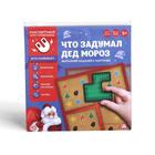 Новогодняя магнитная игра-головоломка «Новый год: Что задумал Дед Мороз», 48 карт, 4 магнитных детали, 5+ - Фото 7