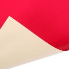 Бумага цветная самоклеящаяся А4, 10 листов, 10 цветов, в папке LOL (2 листа металлизированных, 4 листа флуоресцентных) - Фото 6