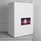 Светодиодная фигура «Дед Мороз» 33 × 47 × 20 см, акрил, 40 LED, 220 В, свечение белое - фото 6340496