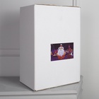 Светодиодная фигура «Дед Мороз» 33×47×20 см, 40 LED, 220 В, свечение белое - Фото 6