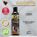 Шампунь-кондиционер «Пижон Premium», 250 мл, для кошек и собак, с ароматом малины - Фото 1