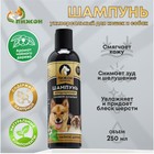 Шампунь-кондиционер "Пижон Premium" для кошек и собак, с маслом чайного дерева и мяты, 250мл - фото 6340560