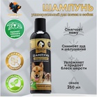 Шампунь-кондиционер «Пижон Premium», 250 мл, для кошек и собак, с маслом чайного дерева и мяты - Фото 1
