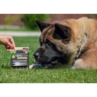 БИО капли от паразитов для животных «Пижон Premium», для щенков и собак крупных пород, 25-40 кг, 2×2 мл - Фото 4