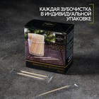 Зубочистки из берёзы Magistro, 500 шт., в индивидуальной упаковке, картонная коробка - Фото 2