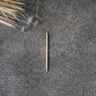 Зубочистки из берёзы Magistro, 500 шт., в индивидуальной упаковке, картонная коробка - Фото 3