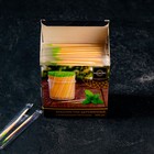 Зубочистки из берёзы Magistro, 500 шт, ментоловые, в индивидуальной упаковке, картонная коробка - Фото 7