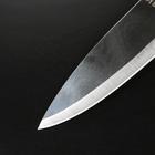 Нож кухонный «Классик», лезвие 16 см, пластиковая ручка - Фото 2