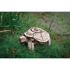 Конструктор деревянный 3D EWA «Механическая черепаха» - Фото 3