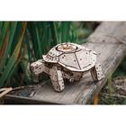 Конструктор деревянный 3D EWA «Механическая черепаха» - Фото 5