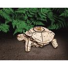 Конструктор деревянный 3D EWA «Механическая черепаха» - Фото 7